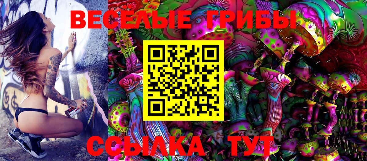 Галлюциногенные грибы Psilocybe  Псилоцибиновые грибы Psilocybe  Скопин  Вход с VPN 