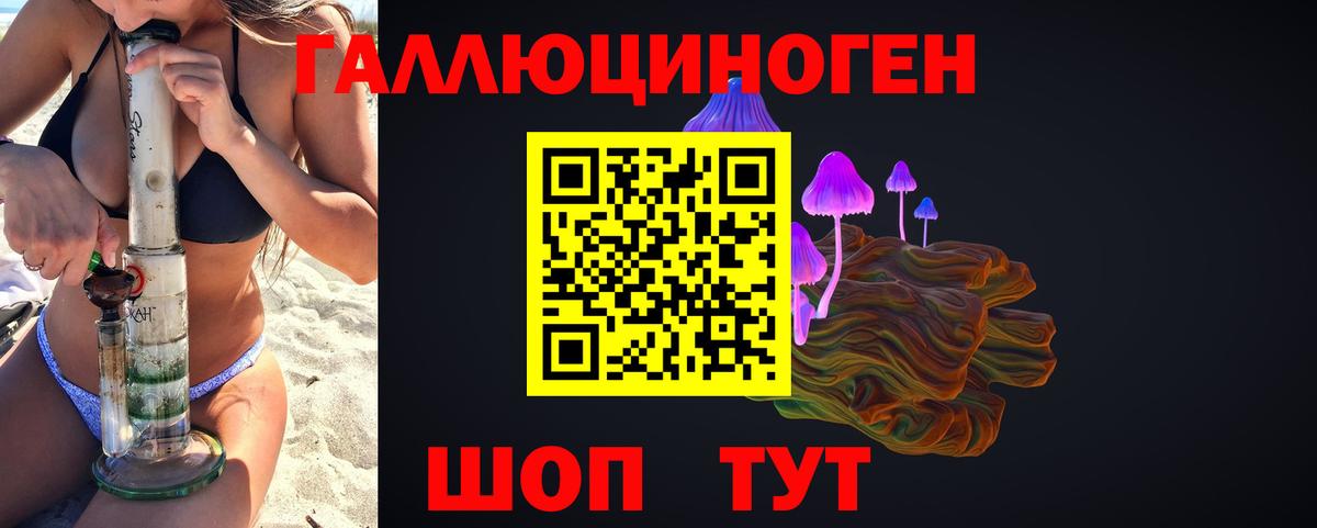 Псилоцибиновые грибы Psilocybe Скопин